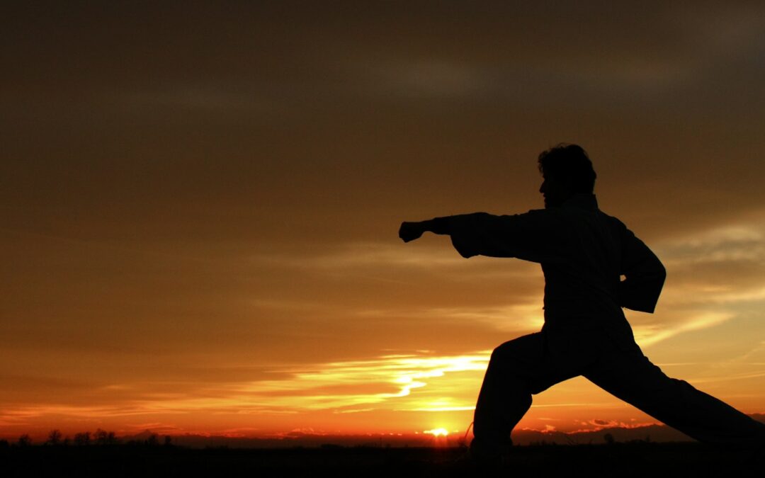 Silhouette of a martial artist throwing a punch