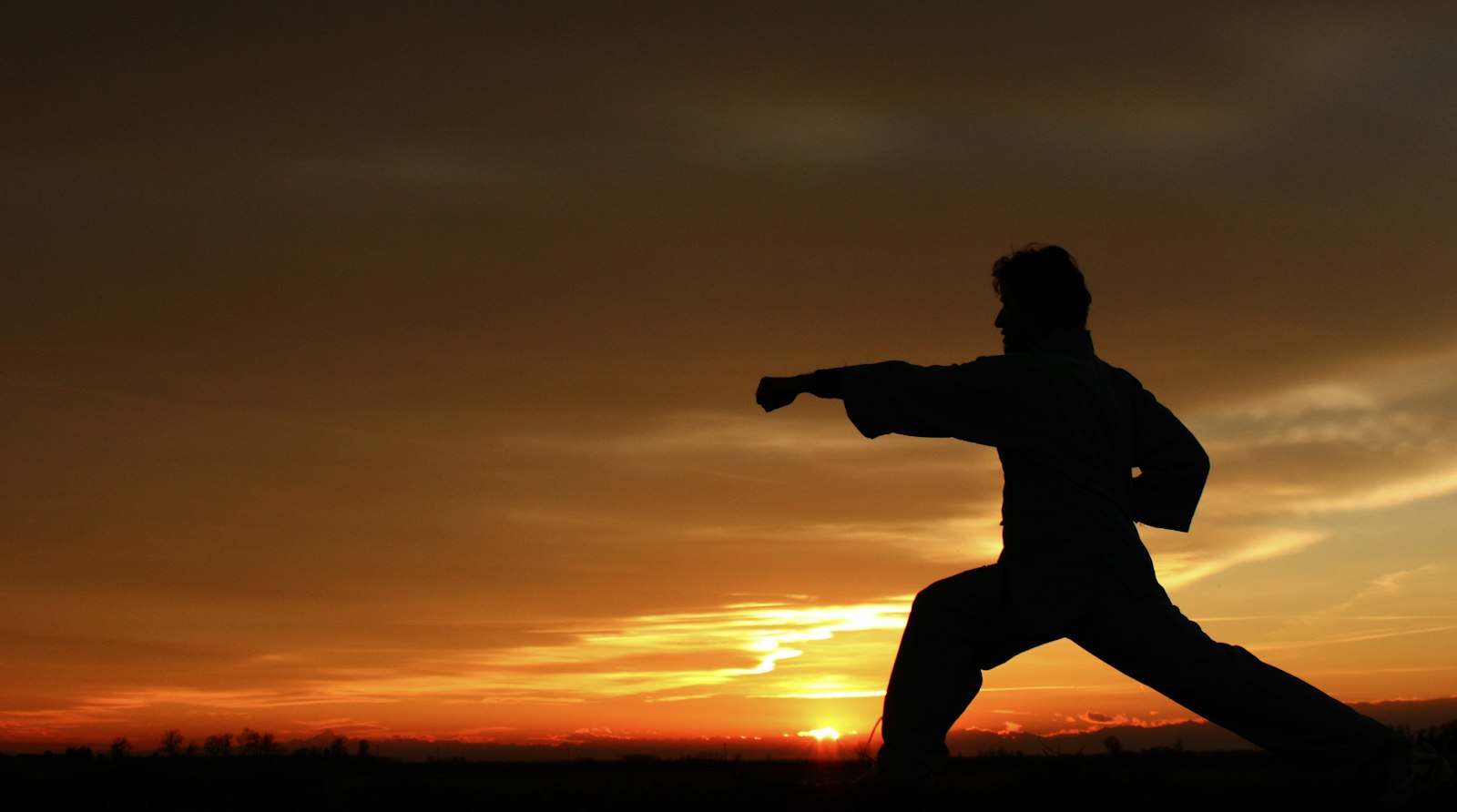 Silhouette of a martial artist throwing a punch