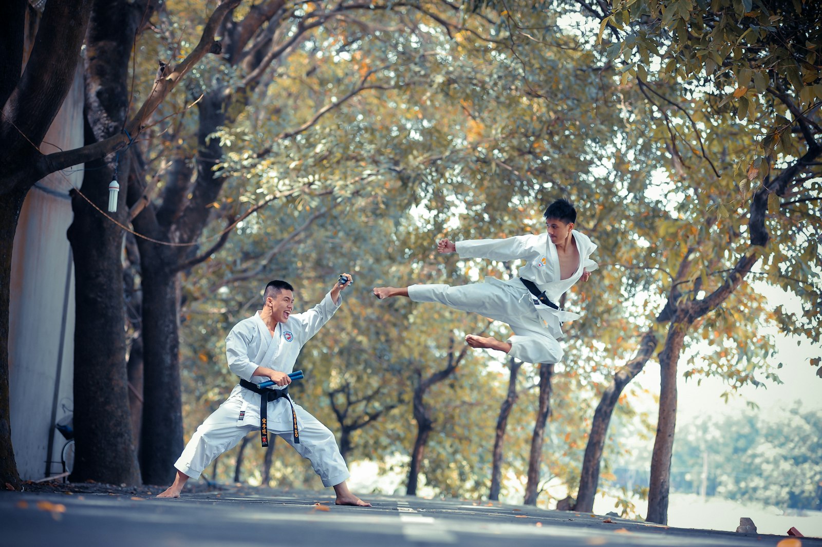 Two martial artists sparring among trees